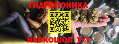 ПСИЛОЦИБИНОВЫЕ ГРИБЫ Канаш