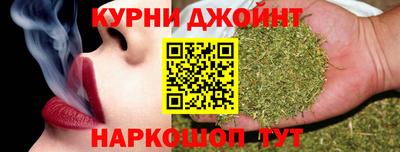 сатива Камышлов