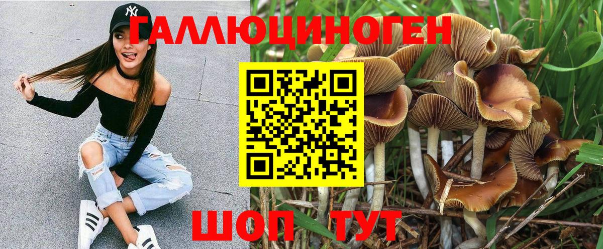 Псилоцибиновые грибы Psilocybe Ишимбай