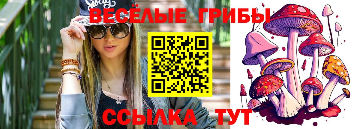 Ишимбай  Псилоцибиновые грибы прущие грибы  Вход с VPN 